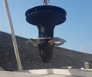 Image7